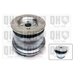 Valdymo svirties/išilginių svirčių įvorė QUINTON HAZELL EMS4092