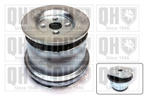 Valdymo svirties/išilginių svirčių įvorė QUINTON HAZELL EMS4092