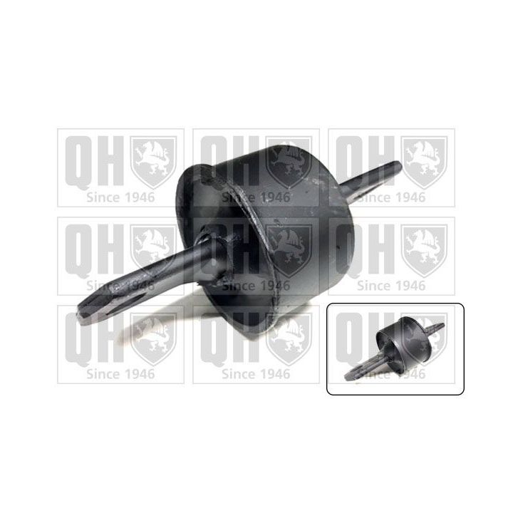 Valdymo svirties/išilginių svirčių įvorė QUINTON HAZELL EMS8031