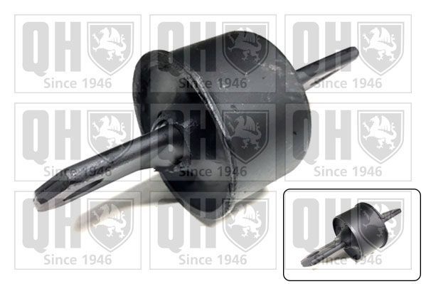 Valdymo svirties/išilginių svirčių įvorė QUINTON HAZELL EMS8031