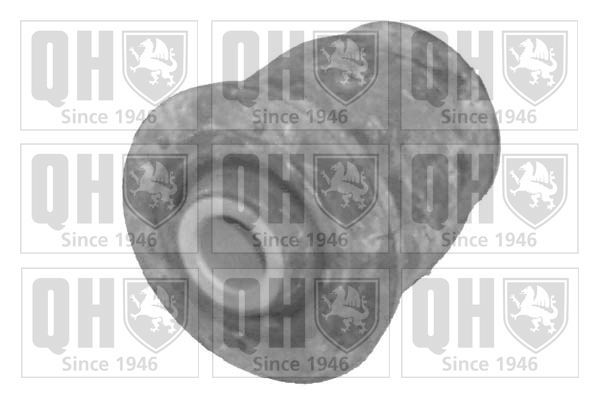 Valdymo svirties/išilginių svirčių įvorė QUINTON HAZELL EMS8060