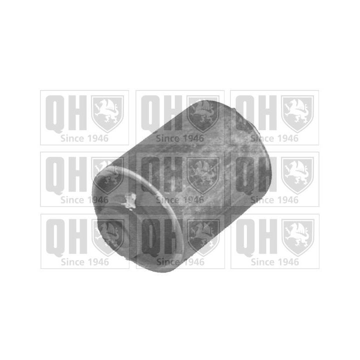 Valdymo svirties/išilginių svirčių įvorė QUINTON HAZELL EMS8165