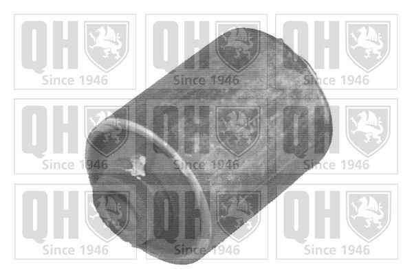 Valdymo svirties/išilginių svirčių įvorė QUINTON HAZELL EMS8165