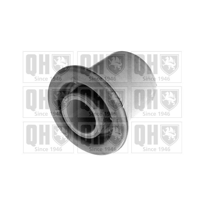 Valdymo svirties/išilginių svirčių įvorė QUINTON HAZELL EMS8196