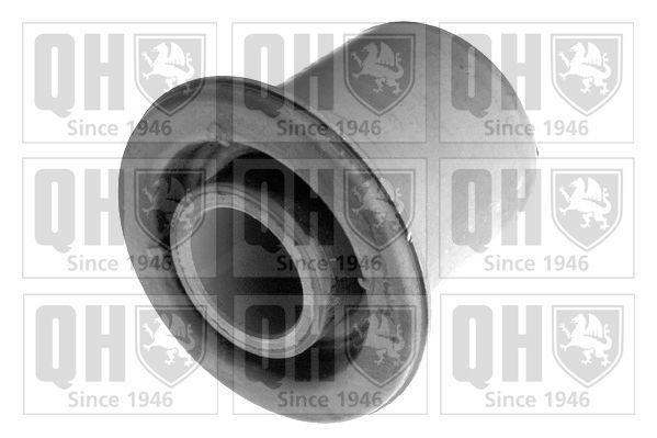 Valdymo svirties/išilginių svirčių įvorė QUINTON HAZELL EMS8196