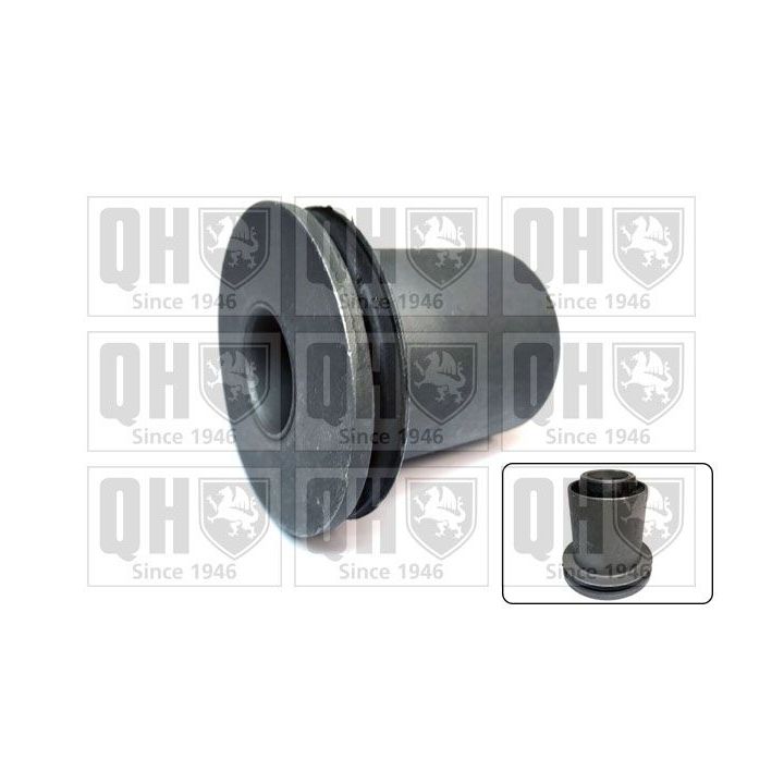 Valdymo svirties/išilginių svirčių įvorė QUINTON HAZELL EMS8197