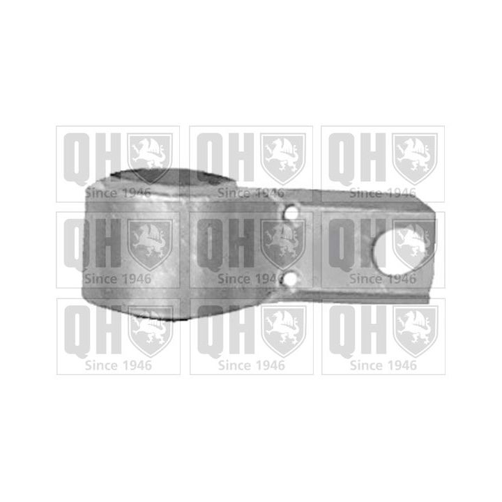 Valdymo svirties/išilginių svirčių įvorė QUINTON HAZELL EMS8203