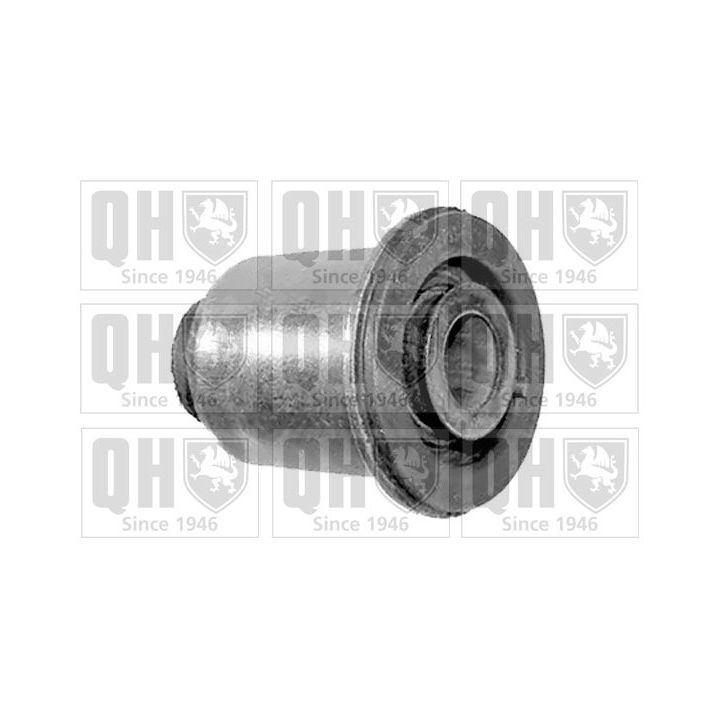 Valdymo svirties/išilginių svirčių įvorė QUINTON HAZELL EMS8299