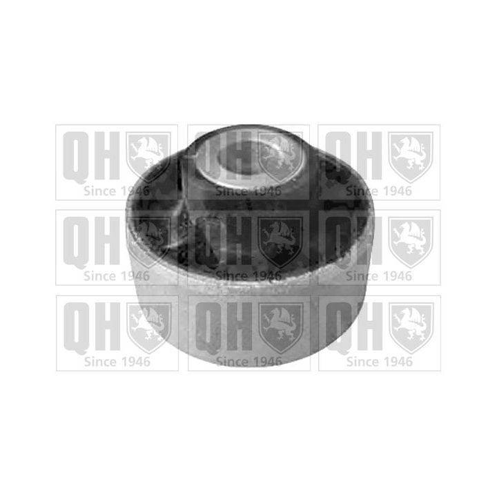 Valdymo svirties/išilginių svirčių įvorė QUINTON HAZELL EMS8304