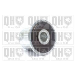 Valdymo svirties/išilginių svirčių įvorė QUINTON HAZELL EMS8491