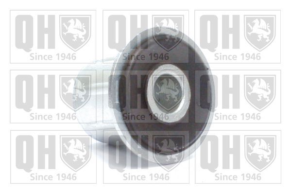 Valdymo svirties/išilginių svirčių įvorė QUINTON HAZELL EMS8491