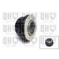 Valdymo svirties/išilginių svirčių įvorė QUINTON HAZELL EMS8675