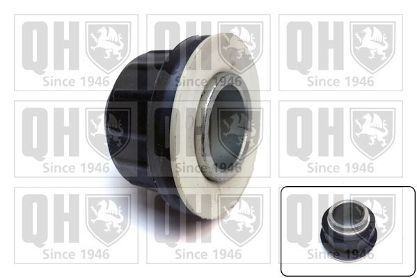 Valdymo svirties/išilginių svirčių įvorė QUINTON HAZELL EMS8675