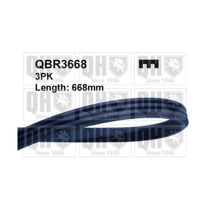V formos rumbuoti diržai QUINTON HAZELL QBR3668