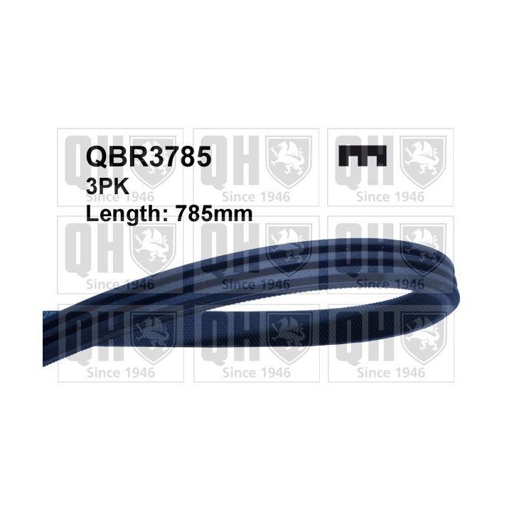 V formos rumbuoti diržai QUINTON HAZELL QBR3785