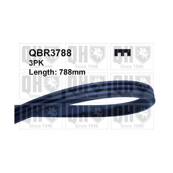 V formos rumbuoti diržai QUINTON HAZELL QBR3788