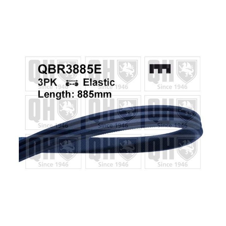 V formos rumbuoti diržai QUINTON HAZELL QBR3885E