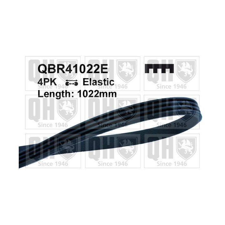 V formos rumbuoti diržai QUINTON HAZELL QBR41022E