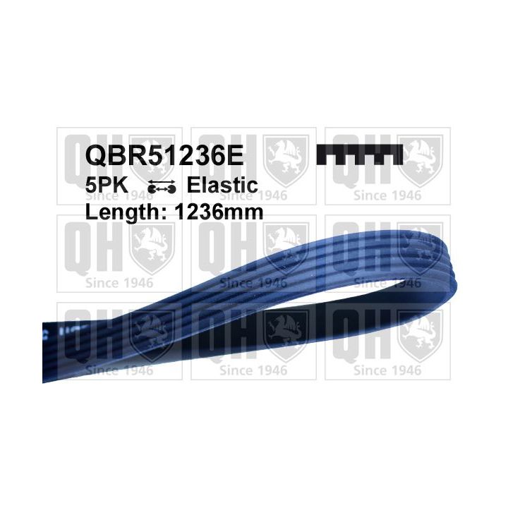 V formos rumbuoti diržai QUINTON HAZELL QBR51236E