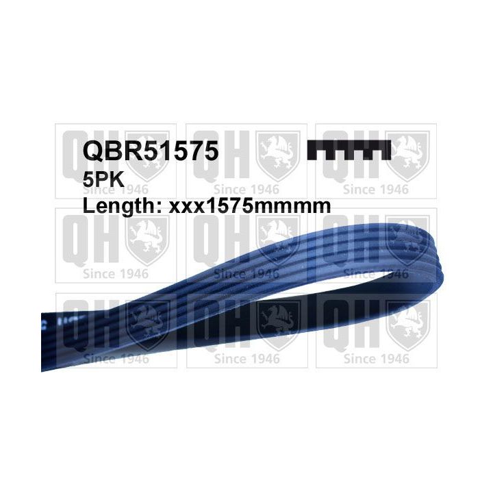 V formos rumbuoti diržai QUINTON HAZELL QBR51575