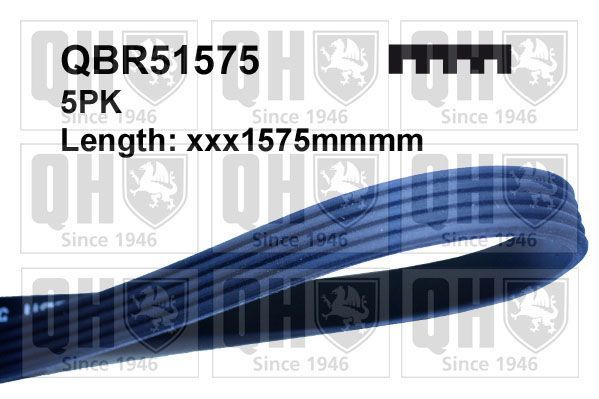 V formos rumbuoti diržai QUINTON HAZELL QBR51575