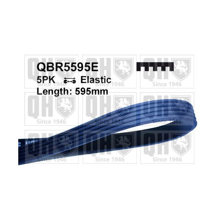 V formos rumbuoti diržai QUINTON HAZELL QBR5595E