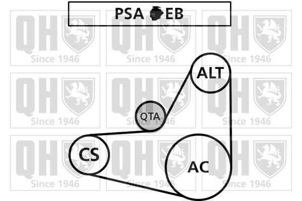V formos rumbuoti diržai QUINTON HAZELL QBR61038