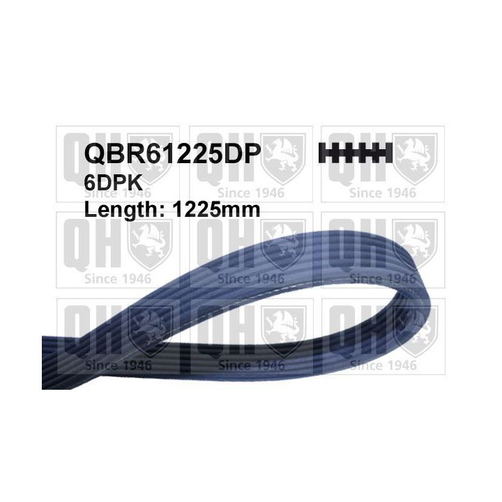 V formos rumbuoti diržai QUINTON HAZELL QBR61225DP
