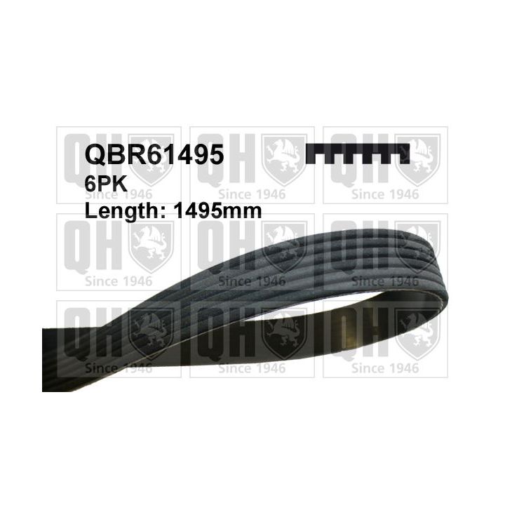 V formos rumbuoti diržai QUINTON HAZELL QBR61495