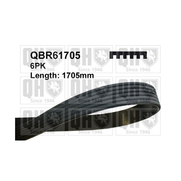 V formos rumbuoti diržai QUINTON HAZELL QBR61705