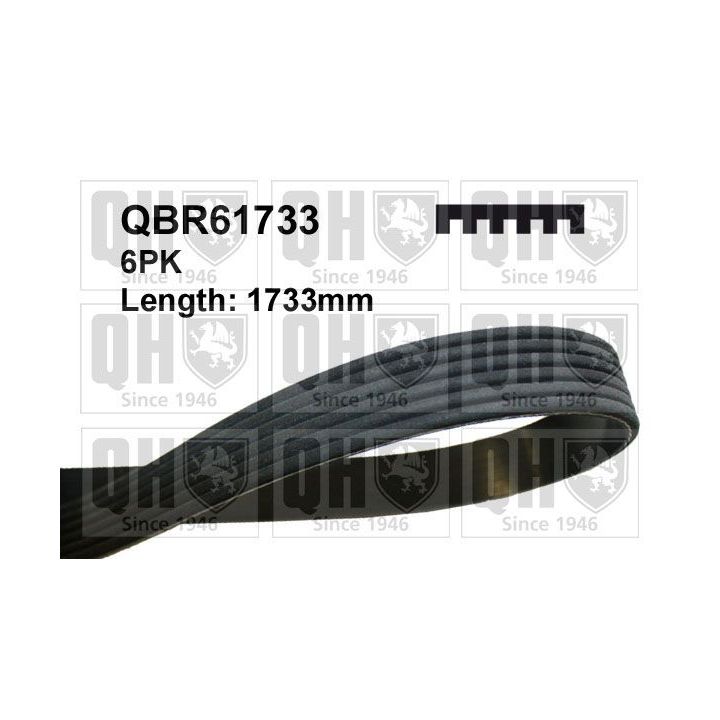 V formos rumbuoti diržai QUINTON HAZELL QBR61733