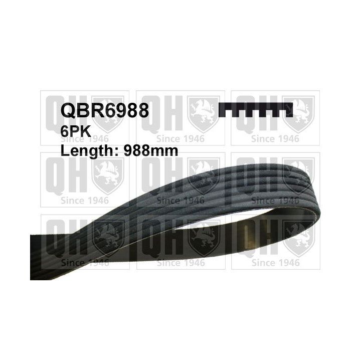 V formos rumbuoti diržai QUINTON HAZELL QBR6988