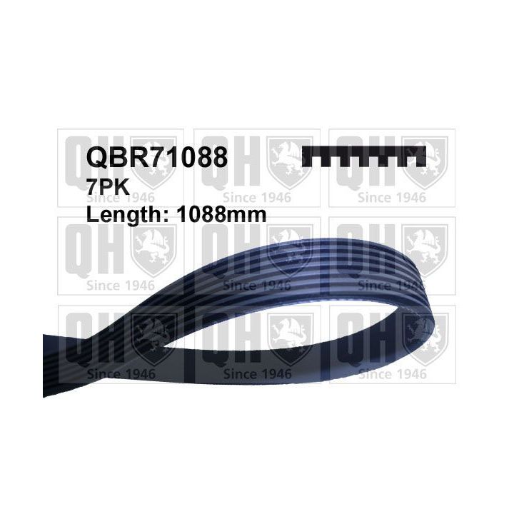 V formos rumbuoti diržai QUINTON HAZELL QBR71088