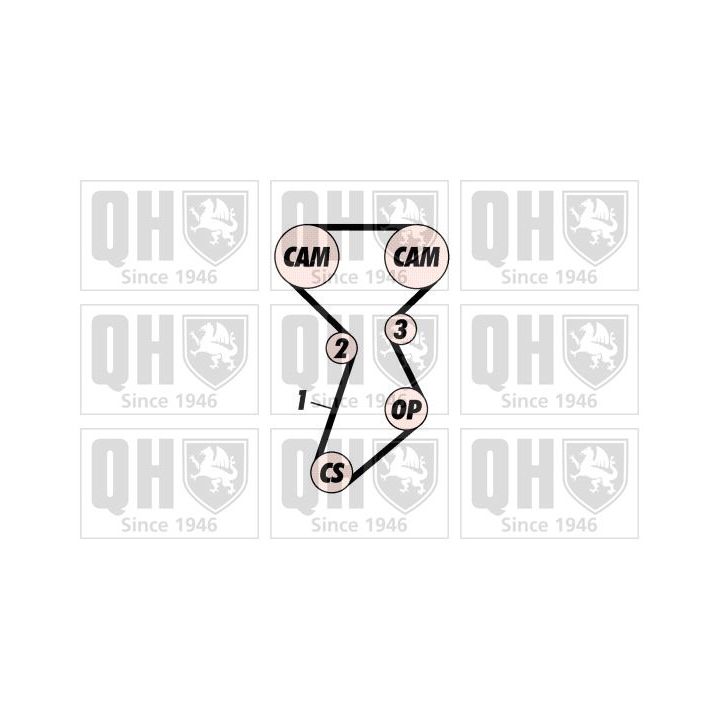 Paskirstymo diržo komplektas QUINTON HAZELL QBK233