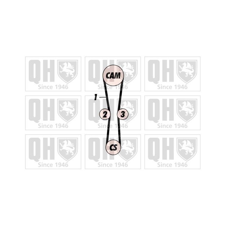 Paskirstymo diržo komplektas QUINTON HAZELL QBK239P