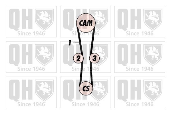 Paskirstymo diržo komplektas QUINTON HAZELL QBK239P