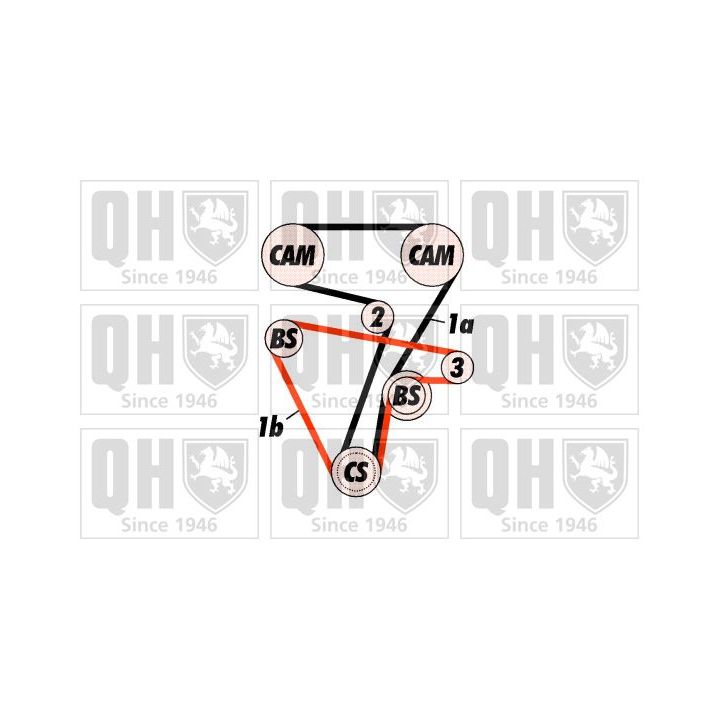 Paskirstymo diržo komplektas QUINTON HAZELL QBK316