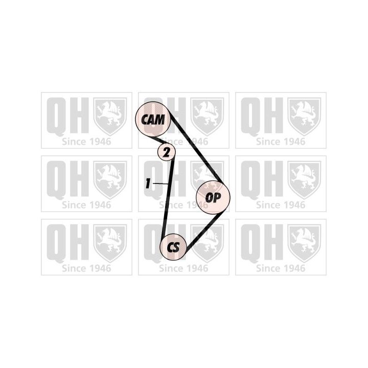 Paskirstymo diržo komplektas QUINTON HAZELL QBK448