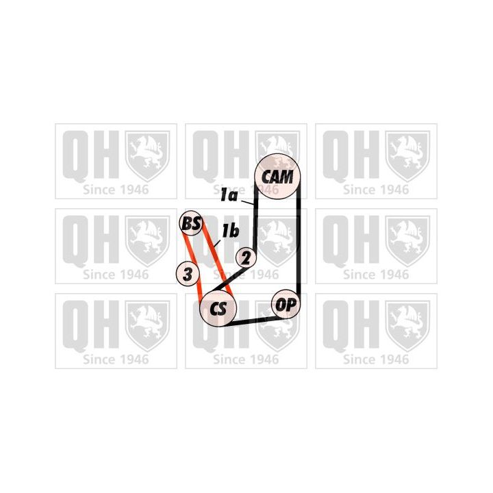 Paskirstymo diržo komplektas QUINTON HAZELL QBK523