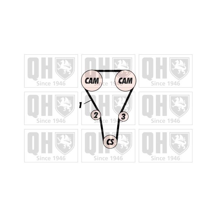 Paskirstymo diržo komplektas QUINTON HAZELL QBK726