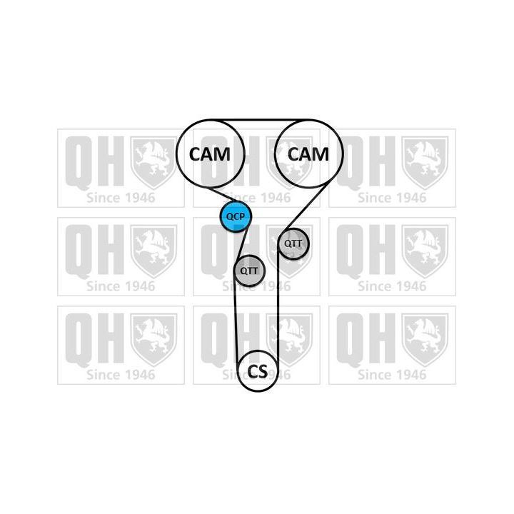 Paskirstymo diržo komplektas QUINTON HAZELL QBK790