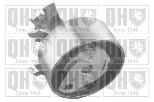 įtempiklio skriemulys, paskirstymo diržas QUINTON HAZELL QTT1117