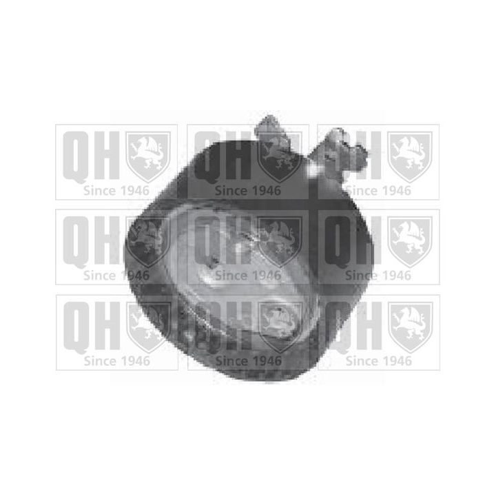įtempiklio skriemulys, paskirstymo diržas QUINTON HAZELL QTT1149