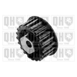 įtempiklio skriemulys, paskirstymo diržas QUINTON HAZELL QTT169
