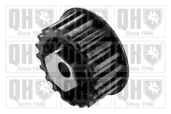 įtempiklio skriemulys, paskirstymo diržas QUINTON HAZELL QTT169