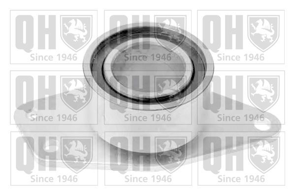 Kreipiantysis skriemulys, paskirstymo diržas QUINTON HAZELL QTT1023