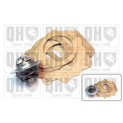 Termostatas, aušinimo skystis QUINTON HAZELL QTH100K