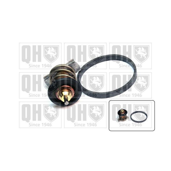 Termostatas, aušinimo skystis QUINTON HAZELL QTH784K