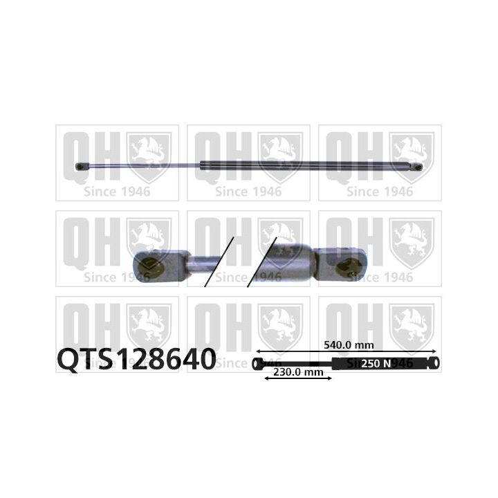 Dujinė spyruoklė, gaubtas QUINTON HAZELL QTS128640