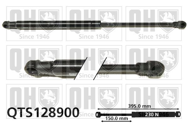 Dujinė spyruoklė, gaubtas QUINTON HAZELL QTS128900